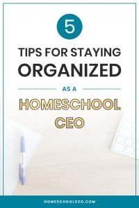 Tips for staying organized pin
