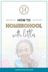 How to homeschool with littles pin