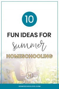 10 Fun Ideas for Summer Homeschooling pin